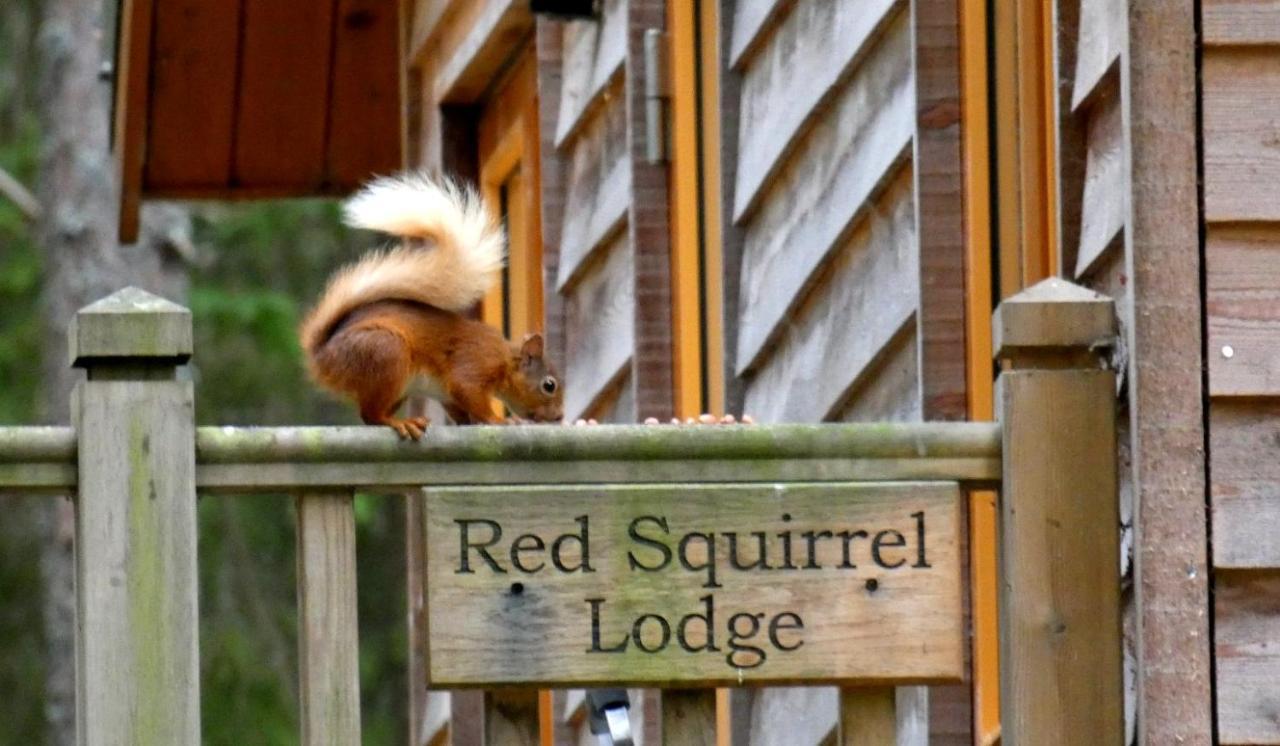 Cairngorm Lodges Абойн Экстерьер фото