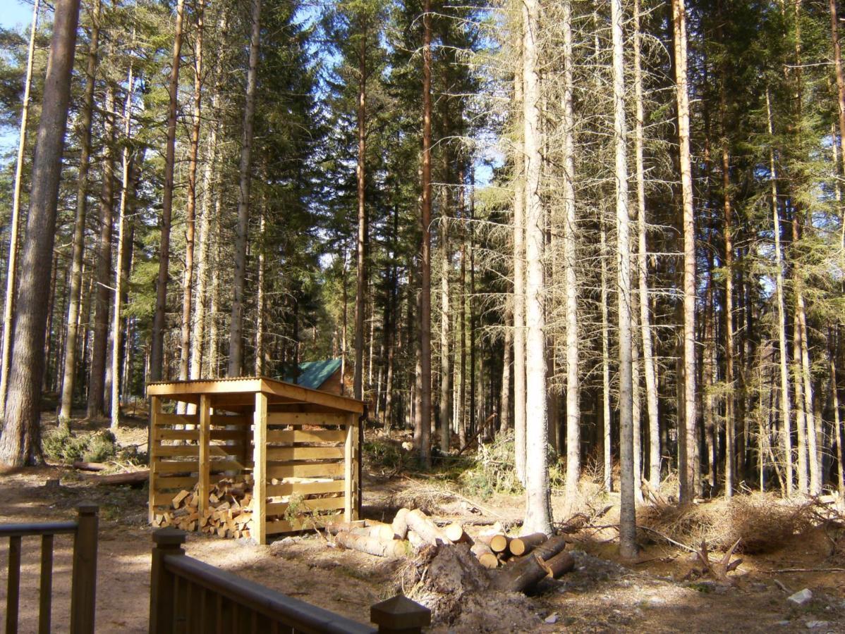 Cairngorm Lodges Абойн Экстерьер фото