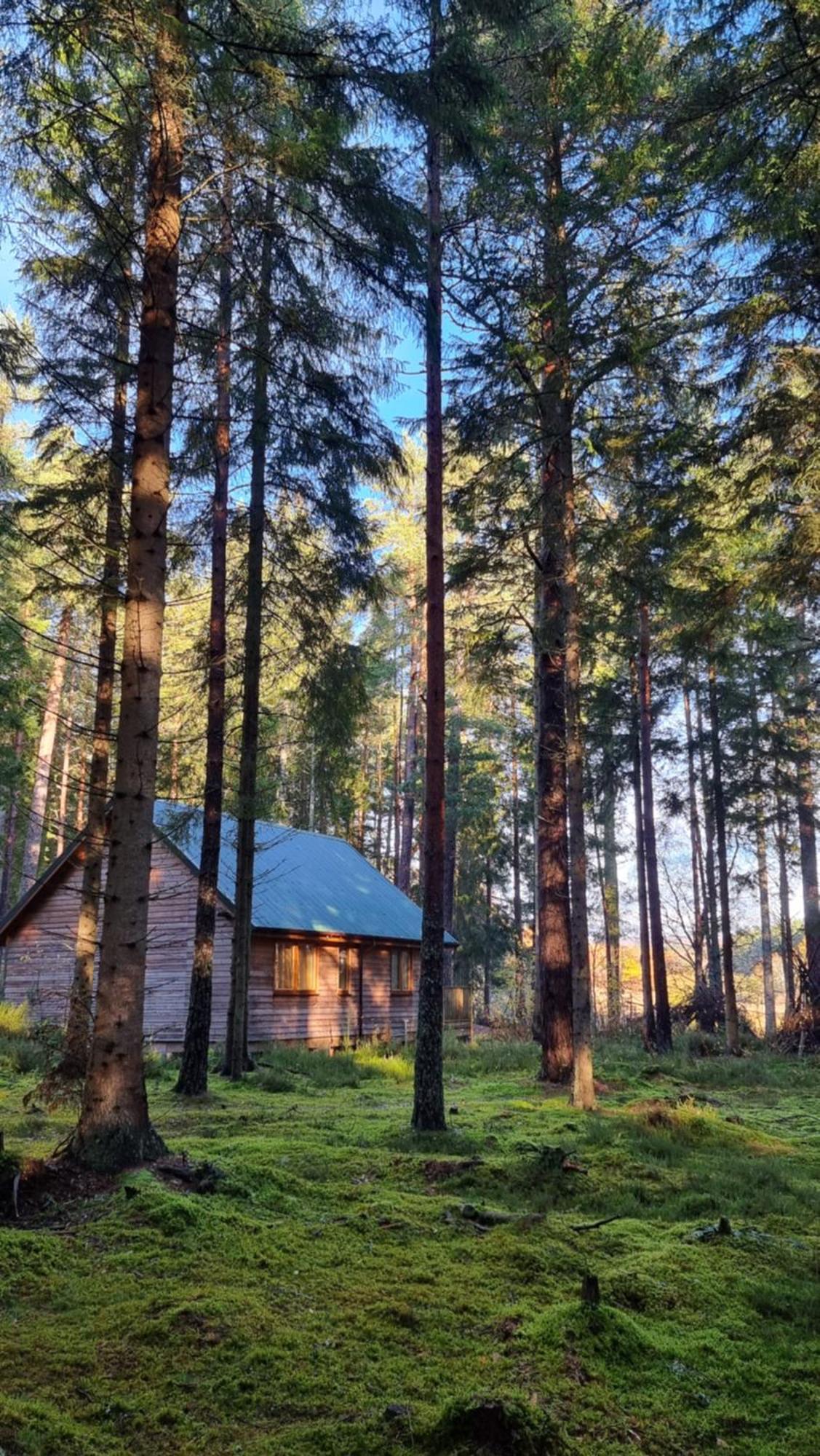 Cairngorm Lodges Абойн Экстерьер фото
