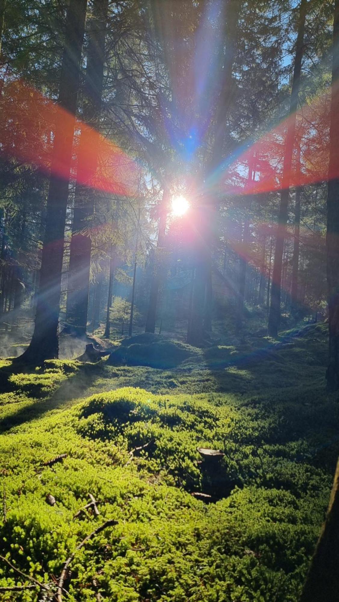 Cairngorm Lodges Абойн Экстерьер фото