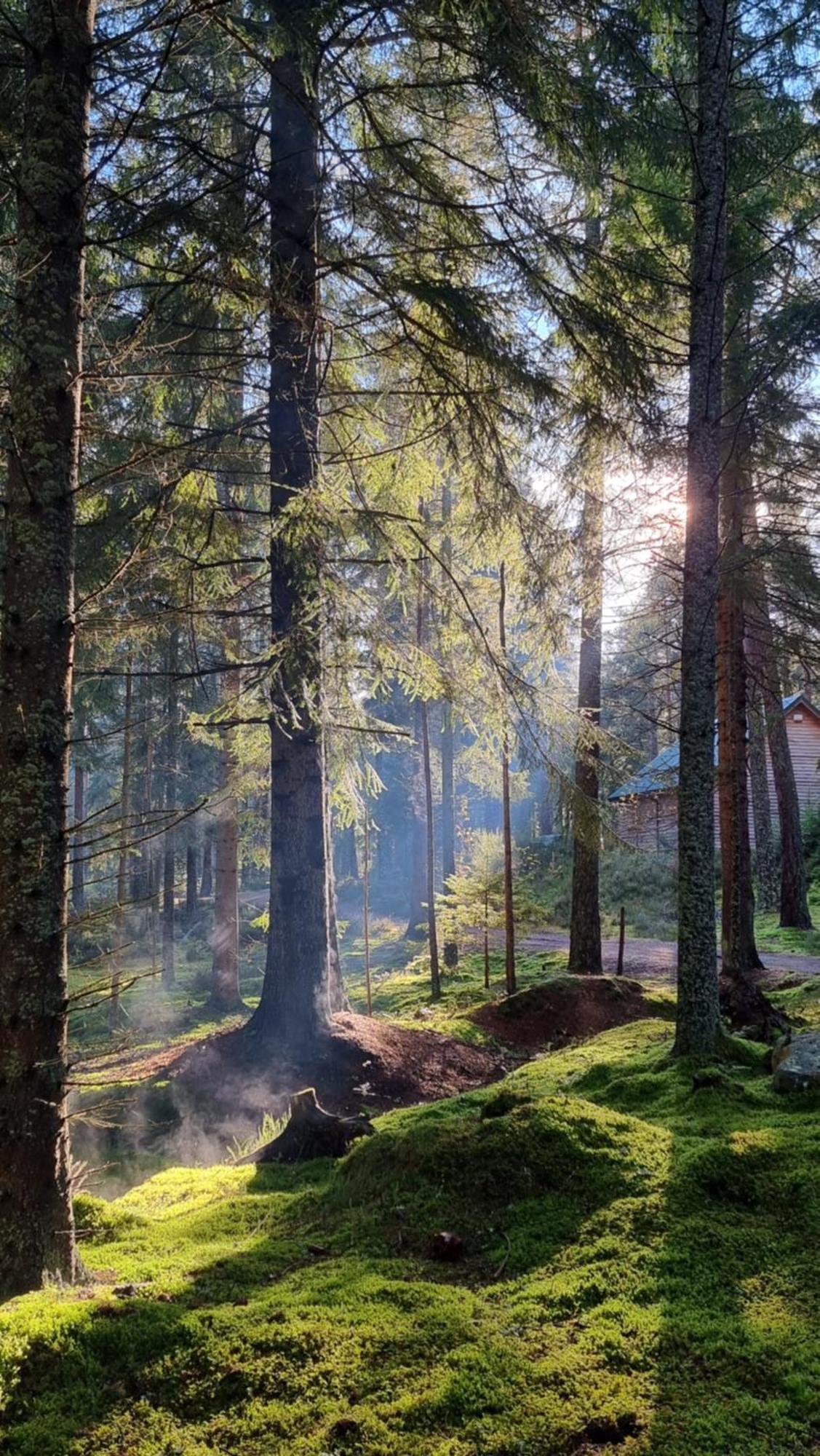 Cairngorm Lodges Абойн Экстерьер фото