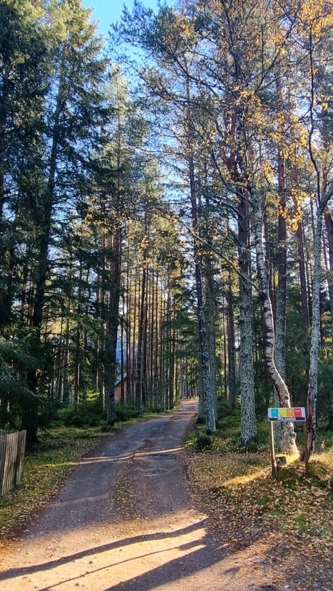Cairngorm Lodges Абойн Экстерьер фото