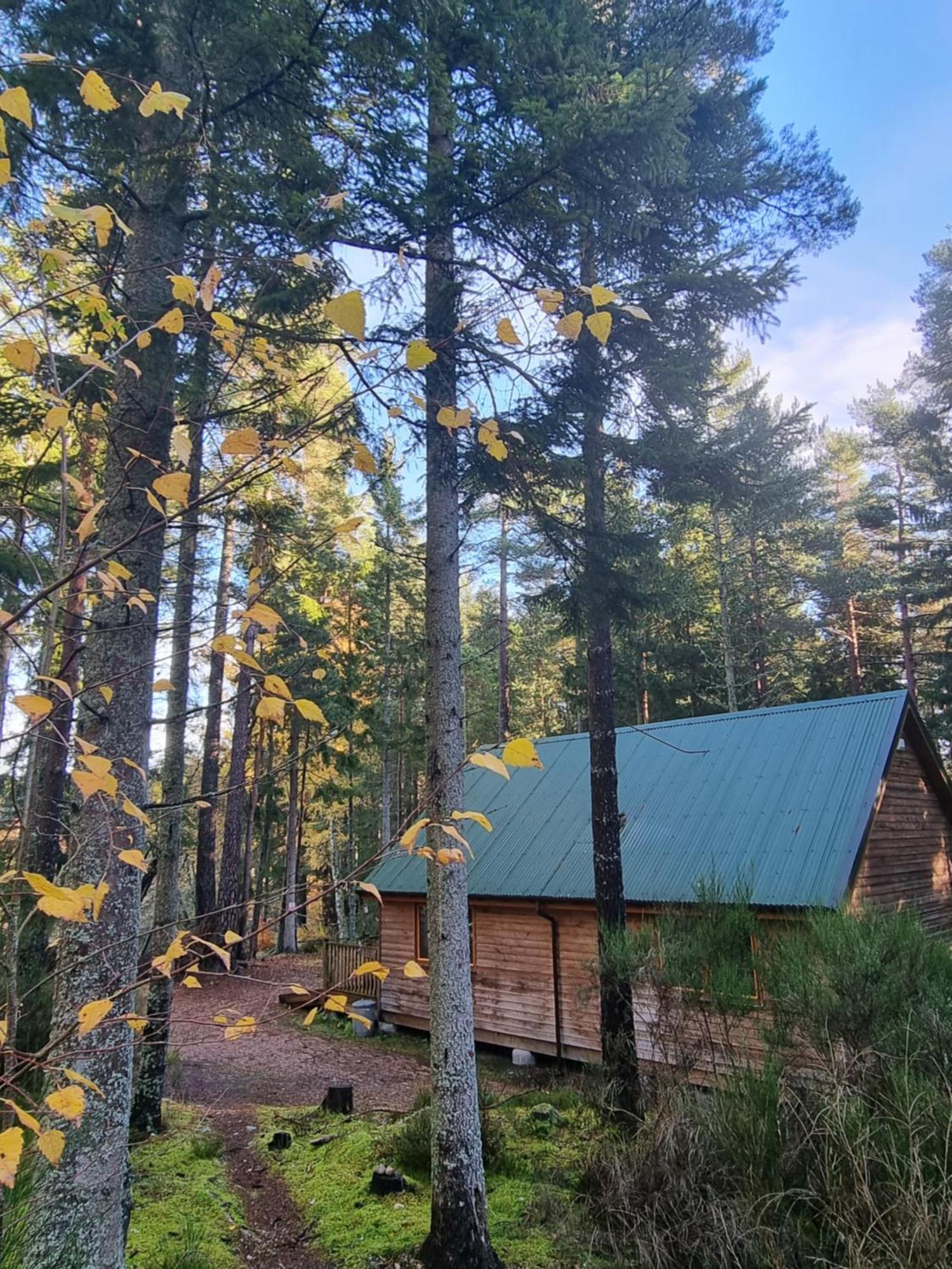 Cairngorm Lodges Абойн Экстерьер фото